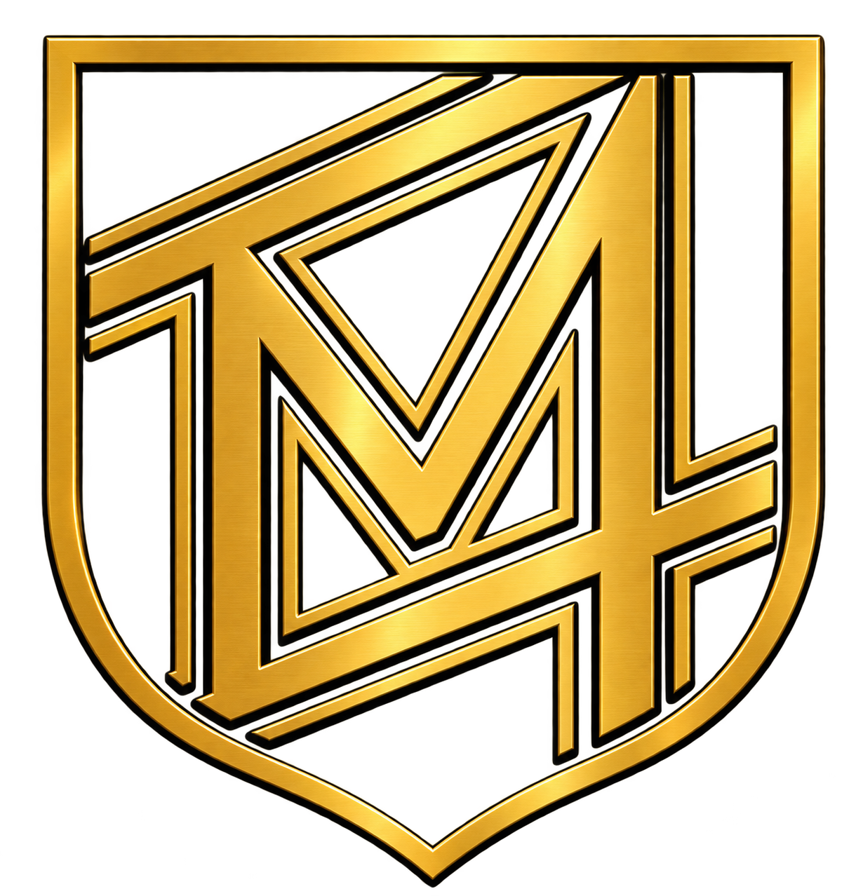 Meezan Security Logo